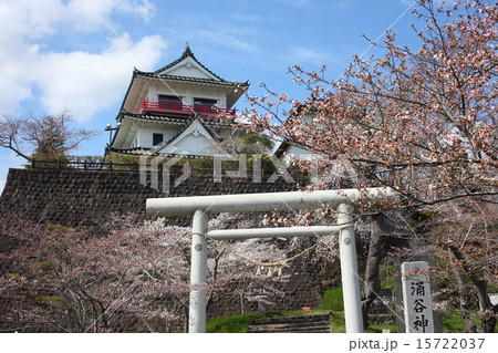 桜咲く涌谷城 桜咲く涌谷城 15722037