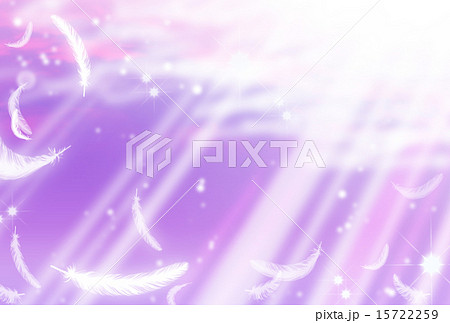 舞い降りる羽 15722259