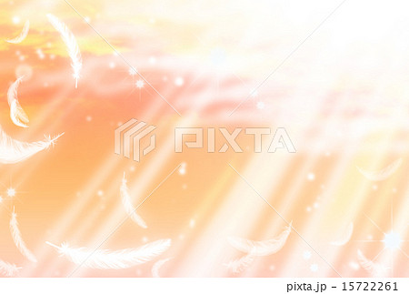 舞い降りる羽 15722261