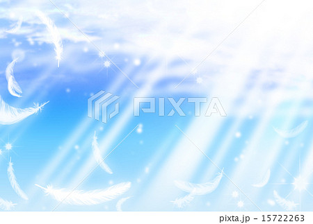 舞い降りる羽 15722263