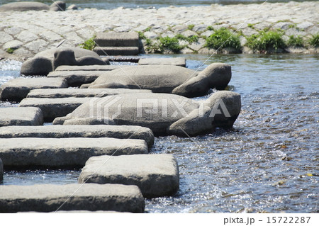 京都　鴨川の飛び石 15722287