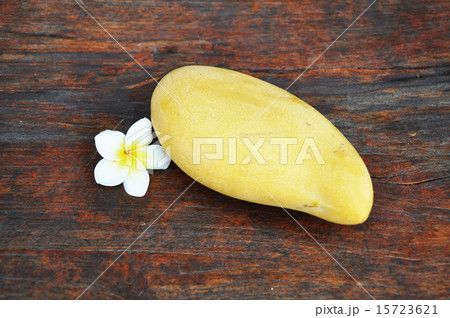 Mango fruit with frangipani flower 15723621
