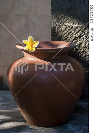 Yellow frangipani flower on clay pot Yellow frangipani flower on clay pot 15723734