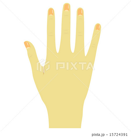右手の甲のイラスト素材 右手の甲のイラスト素材