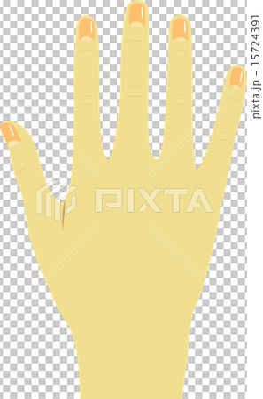 右手の甲 15724391