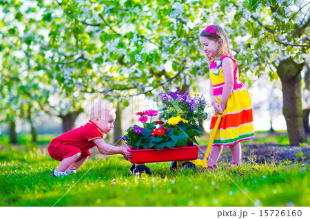 Kids in a garden with blooming cherry trees 15726160