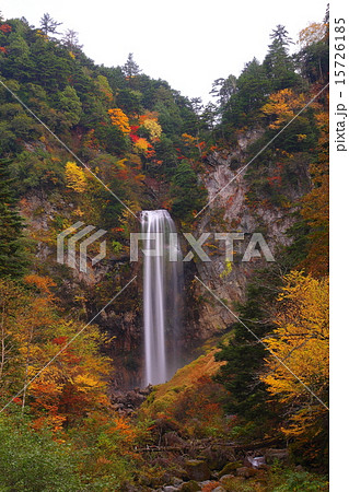 平湯大滝　紅葉 15726185