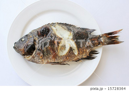 焼き魚 15728364
