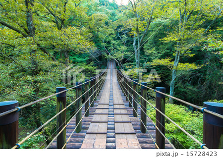 汐見滝吊り橋 汐見滝吊り橋 15728423