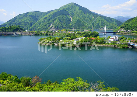 5月新緑の湖03丹沢湖 5月新緑の湖03丹沢湖 15728907