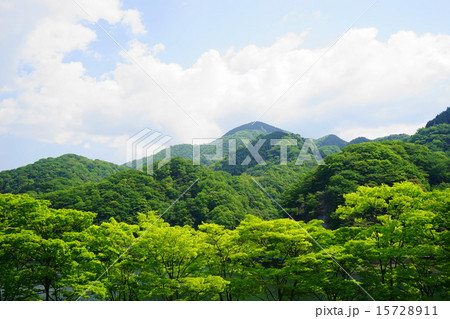 5月新緑の湖07丹沢湖 5月新緑の湖07丹沢湖 15728911