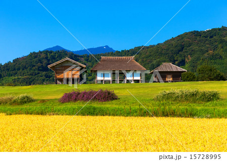 平沢官衙遺跡 15728995