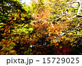 日光の紅葉 15729025