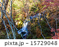 竜頭の滝と紅葉 15729048