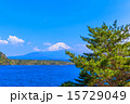 精進湖の富士山と樹木 15729049