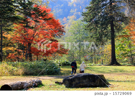 紅葉散歩 紅葉散歩 15729069