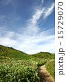 山頂へ続く道 15729070