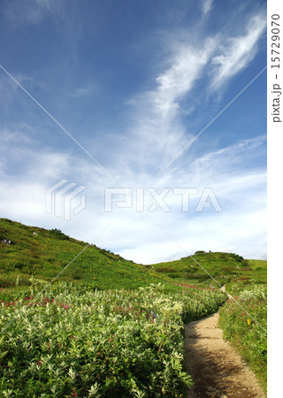 山頂へ続く道 15729070