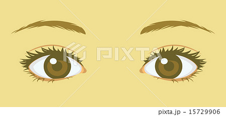 女性の目　ふたえまぶた 15729906
