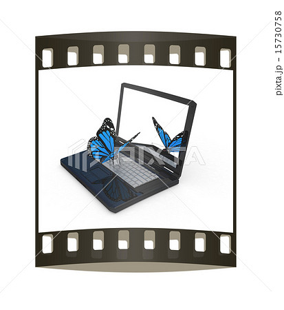butterfly on a notebook. The film strip butterfly on a notebook. The film strip 15730758