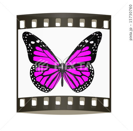 Butterfly. The film strip 15730760