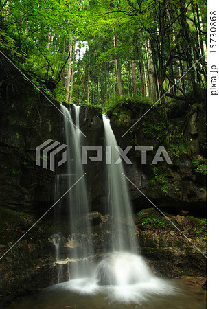 小僧不動の滝 15730868