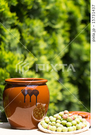 梅干し　手づくり　保存食 15731437