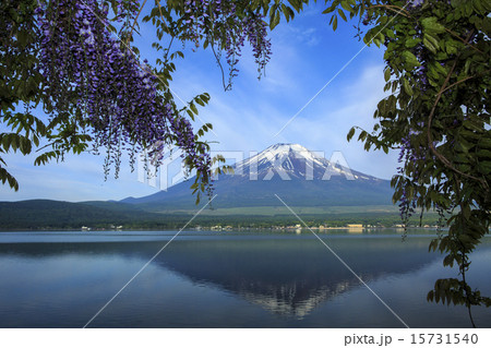 富士山 15731540