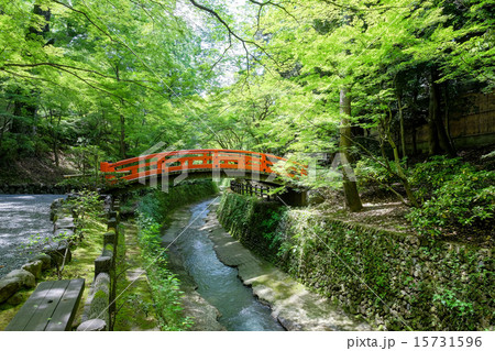北野天満宮・新緑の鶯橋 15731596