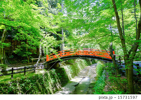 北野天満宮・新緑の鶯橋 北野天満宮・新緑の鶯橋 15731597