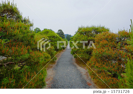 修学院離宮 修学院離宮 15731726