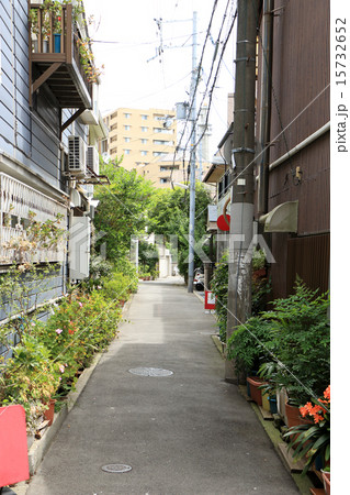 路地裏 路地裏 15732652