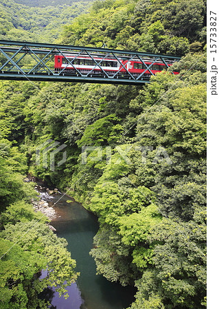 新緑の箱根登山鉄道 新緑の箱根登山鉄道 15733827