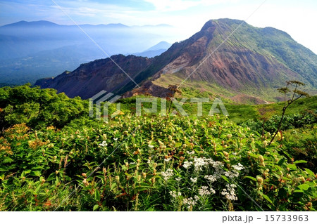 磐梯山のお花畑と櫛ヶ峰・吾妻連峰遠望 15733963
