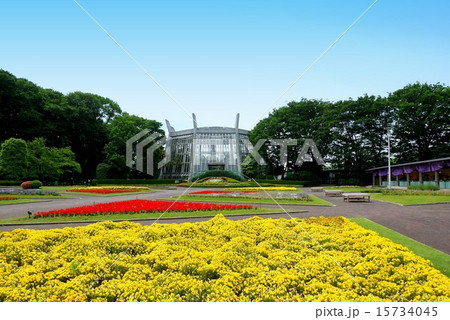 川口市立グリーンセンター（埼玉県 川口市） 15734045