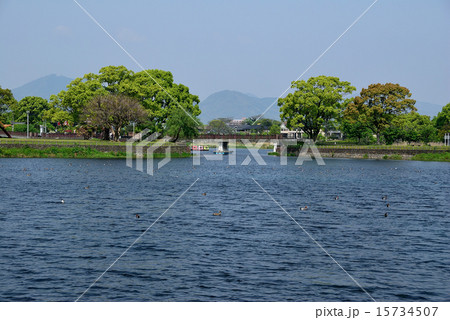 江津湖の風景 15734507