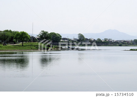 江津湖の風景 江津湖の風景 15734510