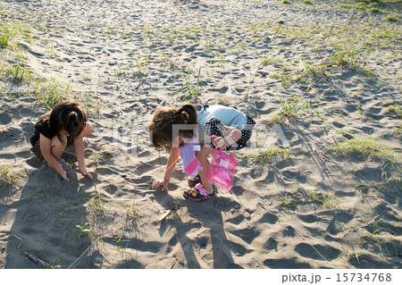 砂浜で貝を探す子供達 15734768