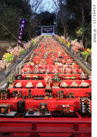 かつうらビッグひな祭り 15739454