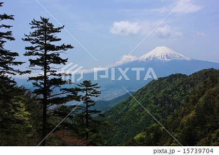 三つ峠山からの富士山 15739704