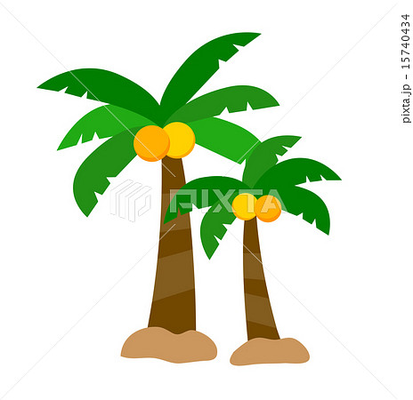 ヤシの木 15740434