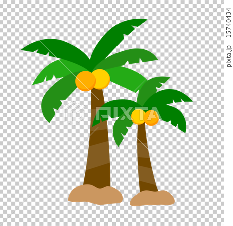 ヤシの木 15740434