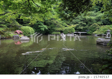 友泉亭公園 友泉亭公園 15740537