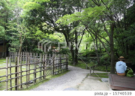 友泉亭公園 15740539