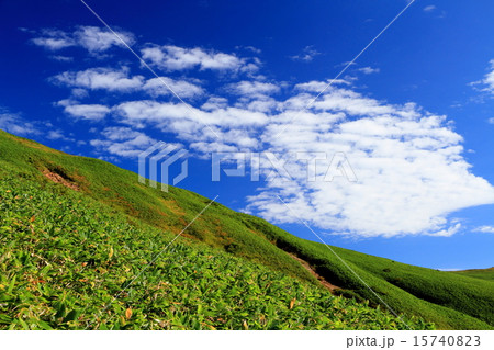 上越・平標山の青空 15740823