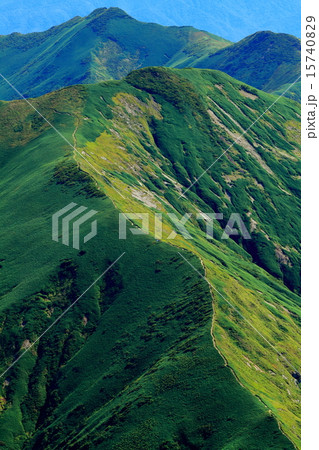 仙ノ倉山から上越国境稜線 15740829