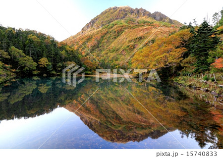 弥陀ガ池から紅葉の日光白根山 15740833