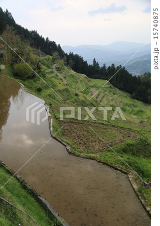 泉谷の棚田 15740875