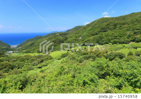 石部棚田 石部棚田 15740958