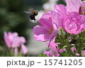 Rose＆Bee 15741205